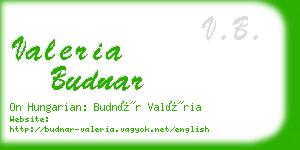 valeria budnar business card